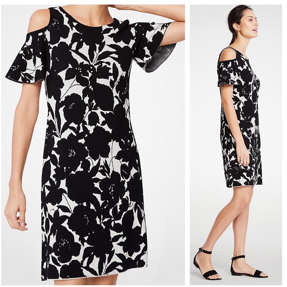 NWT Ann Taylor Black & White Shift Dress